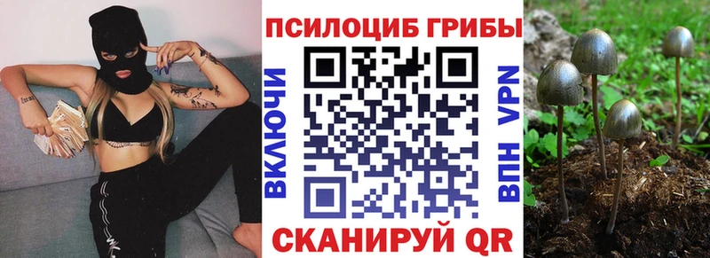 Галлюциногенные грибы Psilocybine cubensis Усть-Илимск