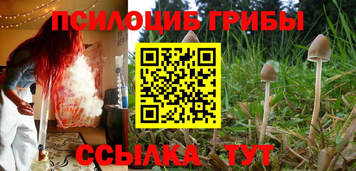 Псилоцибиновые грибы прущие грибы  Усть-Илимск 