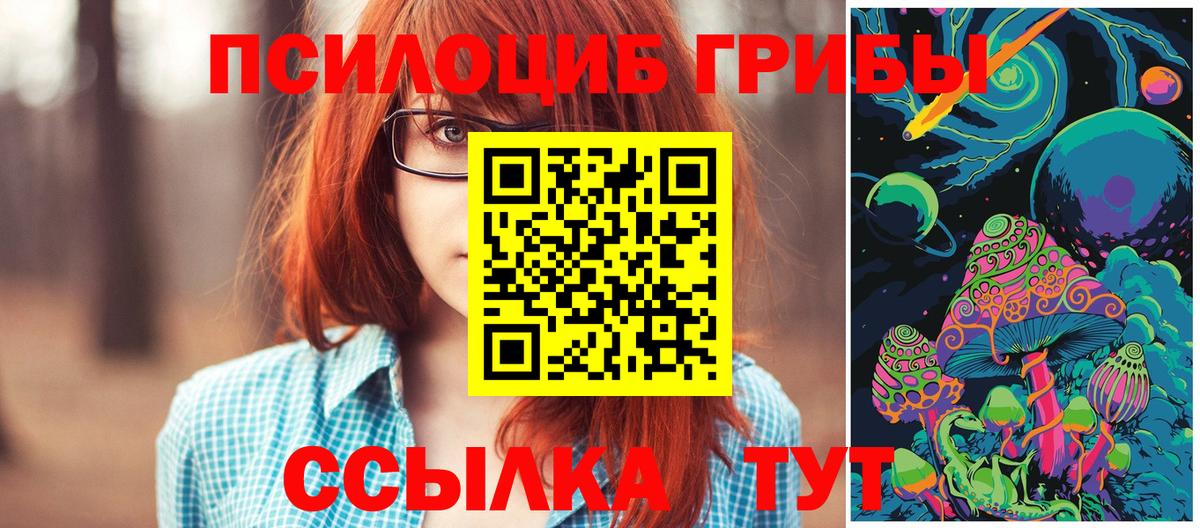 где продают наркотики  Галлюциногенные грибы Psilocybe  Псилоцибиновые грибы Psilocybe  Вход с VPN  Усть-Илимск 