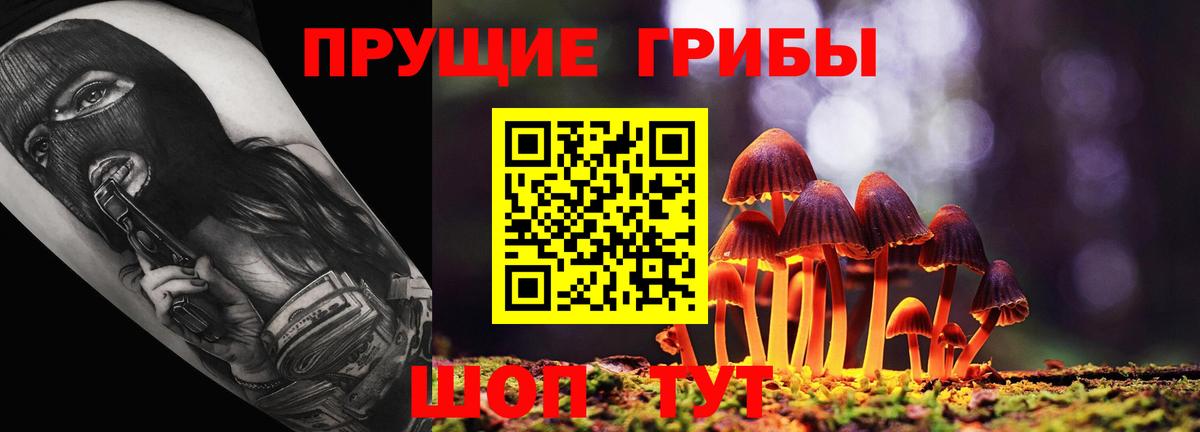Псилоцибиновые грибы Psilocybe Усть-Илимск